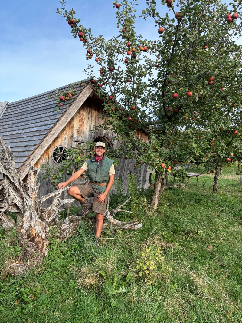 Hdas alexander garten apfelbaum
