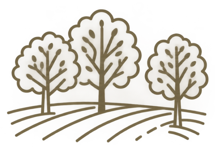 Streuwiese icon